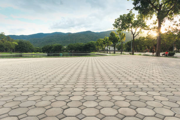 Best Best Driveway Pavers  in Benld, IL